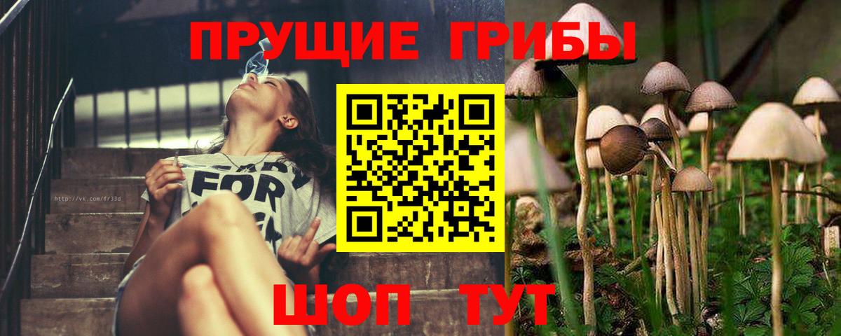 Галлюциногенные грибы Psilocybe  Симферополь  Галлюциногенные грибы Psilocybe 