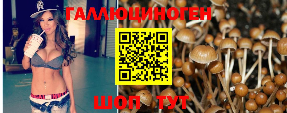 Псилоцибиновые грибы Psilocybine cubensis  Вход с VPN  Симферополь 